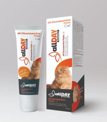 ALLDAY GLUCOSAMINE PASTE 100 GR