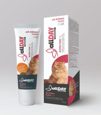 ALLDAY KITTEN PASTE 100 GR