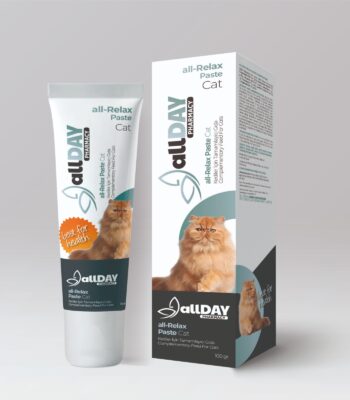 ALLDAY RELAX PASTE 100 GR