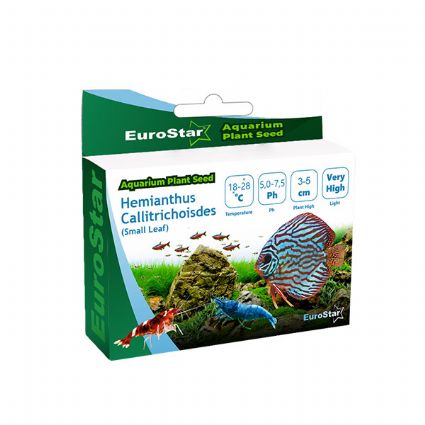 EUROSTAR BİTKİ TOHUMU MEDİUM LEAF BASE PLANT